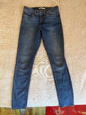 Levi's 311 Shaping Skinny Jean
